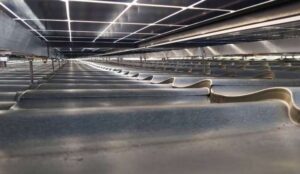 Moduły bifacjalne czyli jak zmaksymalizować produkcję z instalacji PV Technologia Bifacial Zdjecie