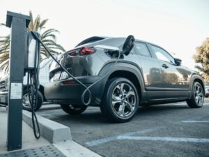 Are EV charging stations a good business idea in Poland? Ladowarki Ev Pexels