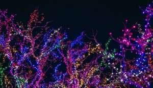 lampki solarne lampki solarne min